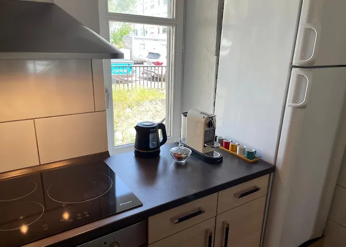 La Petite Venise 公寓 科尔马