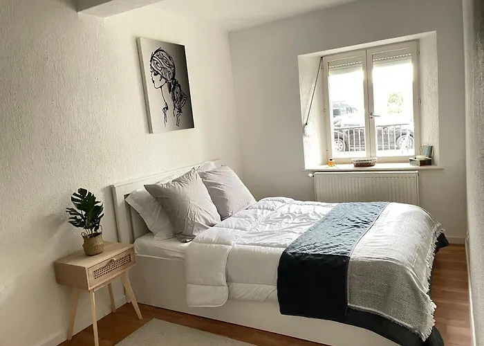 La Petite Venise 公寓 科尔马