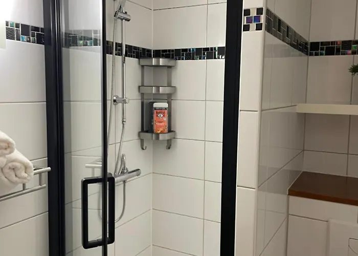 La Petite Venise 公寓 科尔马